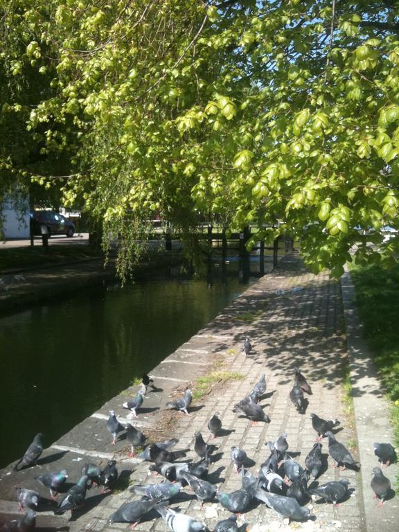 Acara House B&B Dublin Ngoại thất bức ảnh