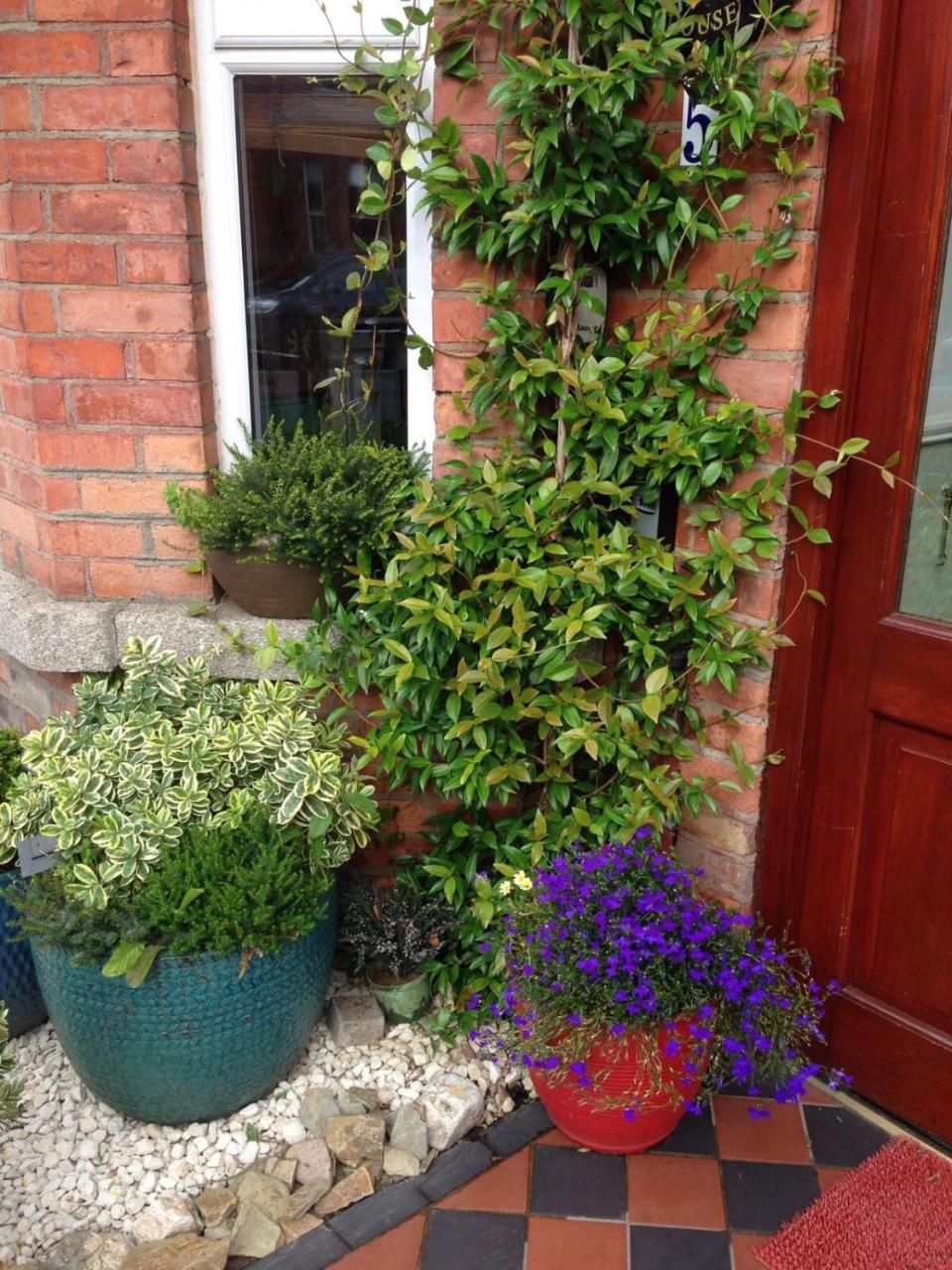 Acara House B&B Dublin Ngoại thất bức ảnh